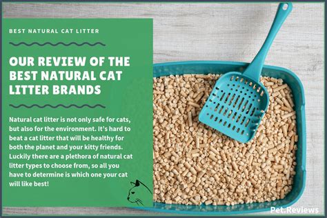 best natural cat litter